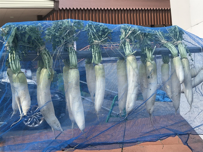 捨てるなんてもったいない す が入った大根を消費する方法