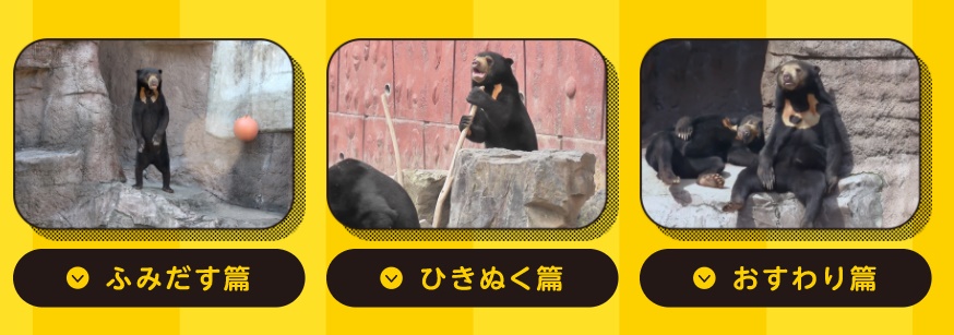 日清紡のクマは本物 ぬいぐるみ Cmに出演する熊がいる動物園はどこか調査 日清紡のクマは本物 ぬいぐるみ Cmに出演する熊がいる動物園はどこか調査