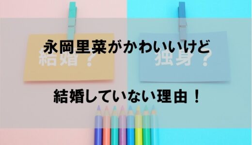 永岡里菜が結婚しておらず旦那(夫)がいない理由！かわいいのに彼氏がなぜいない【おてつたび社長】