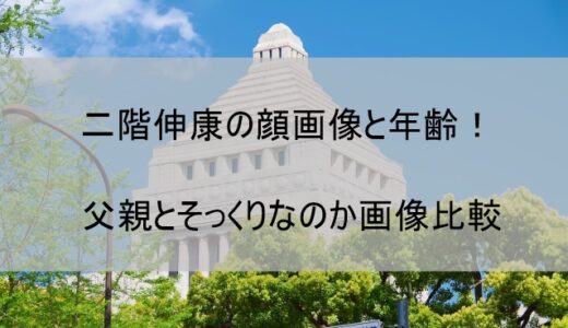 二階伸康の顔画像と年齢について【二階俊博元幹事長の三男は父親にそっくり!?】