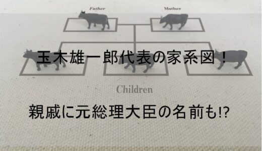 玉木雄一郎代表の家系図!親戚には元総理大臣の名前も!?【国民民主党】