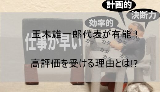 玉木雄一郎代表が有能でまともと評価される理由3選【国民民主党が期待されるのはなぜか】