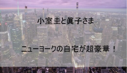 小室圭現在の住まい(2022)に驚愕！ニューヨーク自宅の写真や間取りを公開！