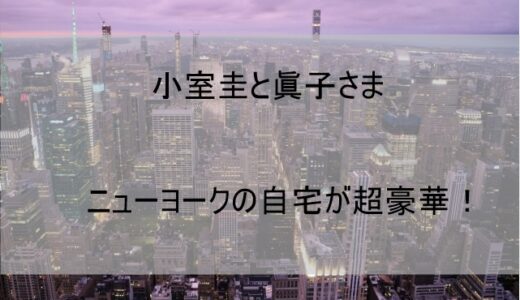 小室圭現在の住まい(2022)に驚愕！ニューヨーク自宅の写真や間取りを公開！