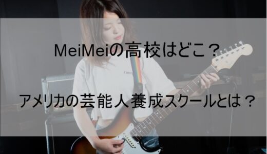MeiMei(歌手)の高校はどこ？アメリカの芸能人養成スクール出身だった【メイメイ】