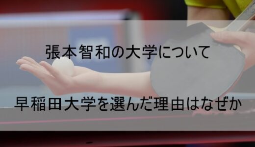 【張本智和選手の大学】進学先がどこなのか判明！早稲田大学を選んだ理由はなぜか