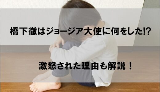 橋下徹はジョージア大使に何をしたのか経緯まとめ!激怒理由はなぜかも解説