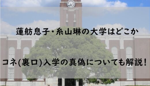 蓮舫息子(長男)・糸山琳の大学はどこなのか解説｜コネ(裏口)入学疑惑も検証【村田琳】