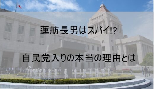 蓮舫長男・村田琳はスパイなのか検証｜立憲ではなく自民党入りの理由はなぜか【糸山琳】