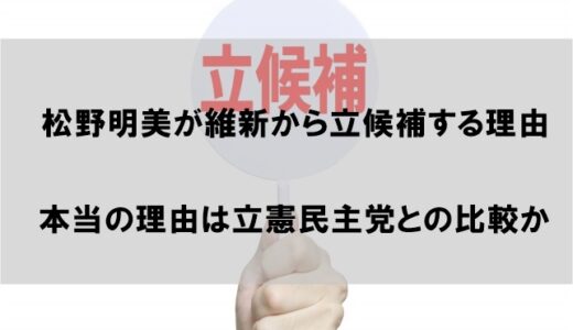 松野明美が維新から立候補する理由はなぜか【本当の理由は立憲民主党との比較!?】