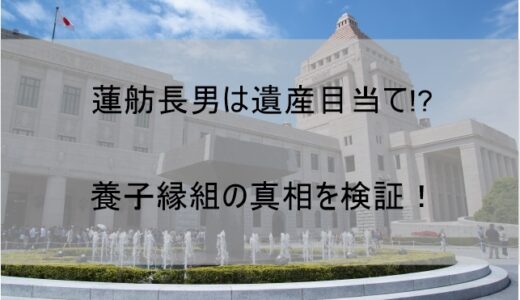 蓮舫長男(息子)・村田琳は遺産目当てなのか｜養子縁組の真相を検証【糸山琳】