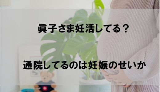 小室眞子さま妊活してる？懐妊(妊娠)してる可能性を検証(2022)【画像あり】