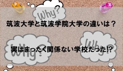 筑波大学と筑波学院大学の違いを徹底解説【関係性がない別の学校だった件】