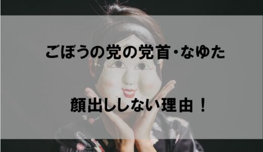 奥野卓志が素顔を晒さず顔出ししない理由！国会でお面は大丈夫？【ごぼうの党】