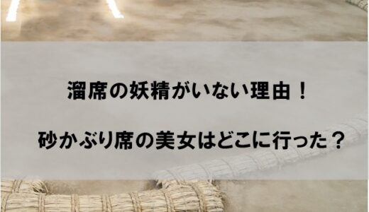 【溜席の妖精】大相撲砂かぶり席の女性がいない理由！毎日テレビに映る美女はどこに行った？