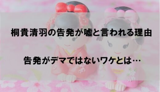 桐貴清羽の告発が嘘と言われるワケ｜デマではない根拠とは