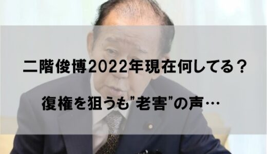 二階俊博元幹事長は現在(2022)何してる？今後復権を狙うも