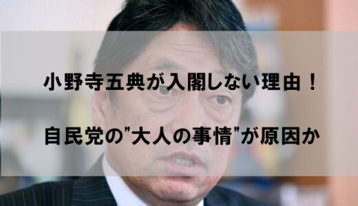 小野寺五典が入閣しない理由はなぜか？【自民党の大人の事情で落選か】