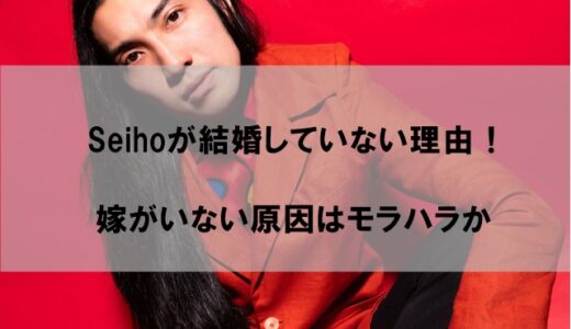 Seiho(セイホー)が結婚せずに嫁(妻)や子供がいない理由！