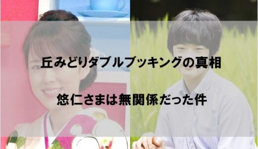 【丘みどりダブルブッキング真相】悠仁さま名古屋観光ホテルが宿泊先でないと言える理由