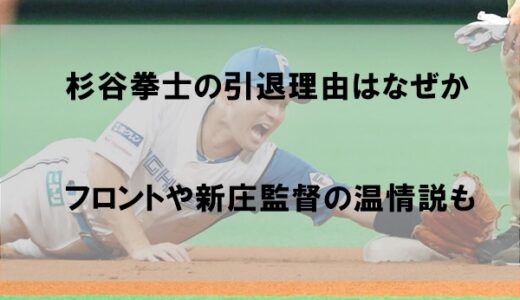 杉谷拳士選手の引退理由はなぜか【フロントや新庄監督の温情も】