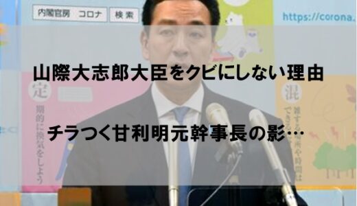 山際大志郎大臣をクビにしない理由はなぜか【更迭しないのは甘利明も関係か】