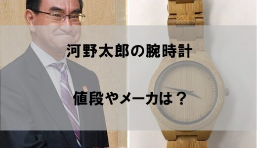 河野太郎の腕時計(竹製)メーカーと値段【安すぎも海外の反応も上々】