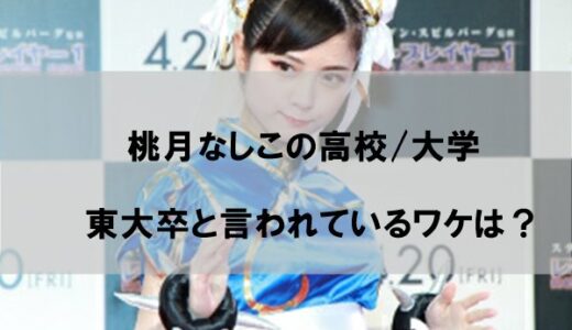 桃月なしこの学歴(出身高校/大学)｜東大卒と言われる理由はなぜか