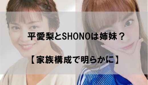 SHONO(しょーの)と平愛梨は姉妹関係なのか【似てるのか画像比較】