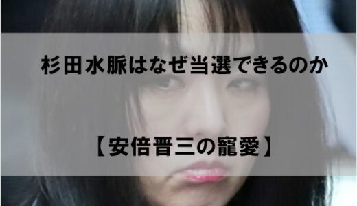 杉田水脈はなぜ当選できるのか【落選しない理由は安倍晋三】