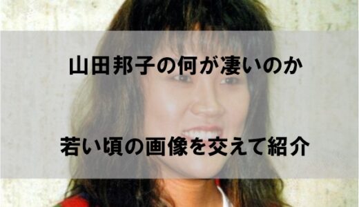 山田邦子は何がすごいのか若い頃の画像で紹介｜テレビに出ない理由に驚愕