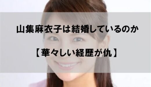 山集麻衣子は結婚して旦那(夫)や子供がいるのか【経歴が仇】