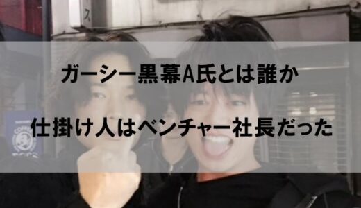 ガーシー黒幕のA氏とは誰か｜仕掛け人はベンチャー社長だった【顔画像】