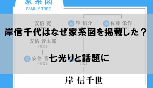 岸信千世はなぜ家系図をホームページに掲載したのか？【七光りと話題】