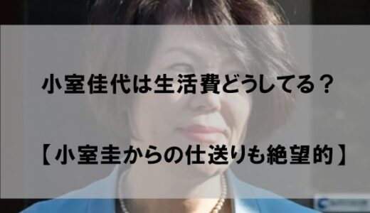 【2023】小室佳代は現在生活費どうしてる？【仕送りの可能性なし】