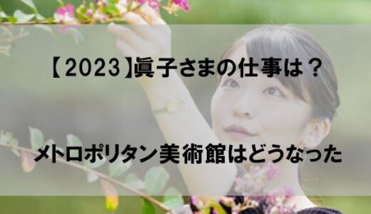 【2023】眞子さま現在の仕事は？メトロポリタン美術館はどうなった