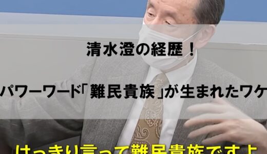 清水澄(ニッポンアカデミー理事長)の経歴wiki【マスクなし顔画像】