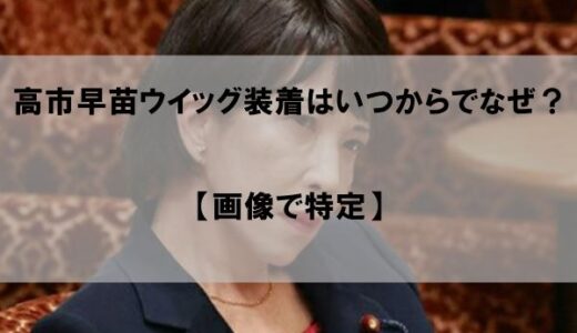 【画像で特定】高市早苗ウイッグ(かつら)はいつからで理由はなぜか？