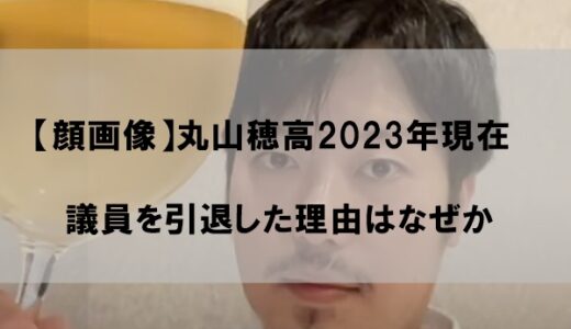 【2023顔画像】丸山穂高は今現在何してる｜議員を引退(辞めた)理由はなぜか