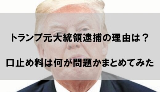 トランプ元大統領逮捕の理由はなぜか｜口止め料は何が問題で違法なのかまとめ